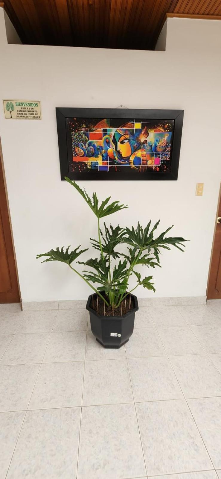 Luna Verde Hotel Neiva  Kültér fotó